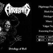 Le texte musical BLACK EMBRACE de AMORPHIS est également présent dans l'album Privilege of evil (1993)