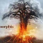 Le texte musical FROM EARTH I ROSE de AMORPHIS est également présent dans l'album Skyforger (2009)