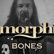 Le texte musical FOG TO FOG de AMORPHIS est également présent dans l'album Borderland (2025)