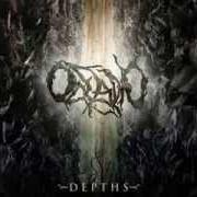 Le texte musical INVOLUNTARY DEMORALIZATION de OCEANO est également présent dans l'album Depths (2009)