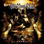 Le texte musical WAR OF FIDELITY de OLD MAN'S CHILD est également présent dans l'album Vermin (2005)