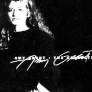 Le texte musical AGELESS MEDLEY de AMY GRANT est également présent dans l'album The collection (1986)