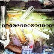 Le texte musical WILD N HERE de ONYX est également présent dans l'album Triggernometry (2003)