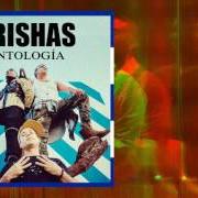 Le texte musical 5.3.7 CUBA de ORISHAS est également présent dans l'album Antidiotico