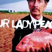 Le texte musical LYING AWAKE de OUR LADY PEACE est également présent dans l'album Happiness... is not a fish that you can catch (1999)