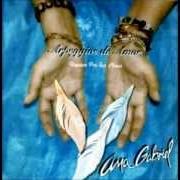 Le texte musical VEN A VER LLOVER de ANA GABRIEL est également présent dans l'album Arpegios de amor (2007)
