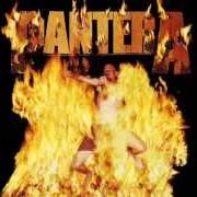 Le texte musical I'LL CAST A SHADOW de PANTERA est également présent dans l'album Reinventing the steel (2000)