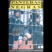 Reyes de la jungla Reyes de la jungla