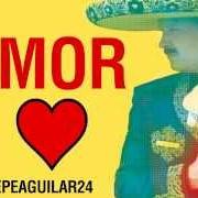 Le texte musical LA LEY DEL MONTE de PEPE AGUILAR est également présent dans l'album Lástima que sean ajenas (2013)