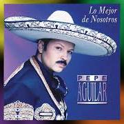 Le texte musical BOTELLITA DE TEQUILA de PEPE AGUILAR est également présent dans l'album Lo mejor de nosotros (2001)