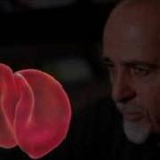 Le texte musical THE POWER OF THE HEART de PETER GABRIEL est également présent dans l'album Scratch my back (2010)