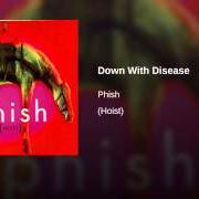 Le texte musical DOG FACED BOY de PHISH est également présent dans l'album Hoist (1994)