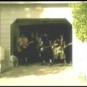 Diversión Diversión