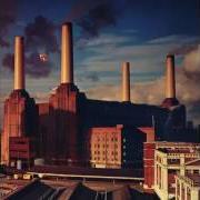 Le texte musical PIGS ON THE WING (PART 2) de PINK FLOYD est également présent dans l'album Animals (1977)