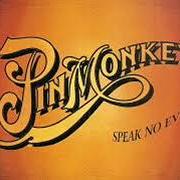 Pinmonkey