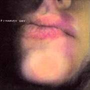 Le texte musical PLANTS AND RAGS de PJ HARVEY est également présent dans l'album Dry (1992)