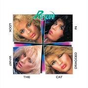 Le texte musical CRY TOUGH de POISON est également présent dans l'album Look what the cat dragged in (1986)