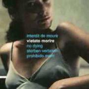 Le texte musical PRIMA DELLA CENERE de ANDREA CHIMENTI est également présent dans l'album Vietato morire (2004)