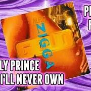 Le texte musical SEGUE de PRINCE est également présent dans l'album Goldnigga (1993)