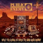 Le texte musical CLOSING: I AM BLACK de PUBLIC ENEMY est également présent dans l'album What you gonna do when the grid goes down? (2020)