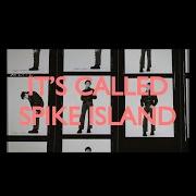 Le texte musical FARMERS MARKET de PULP est également présent dans l'album More (2025)