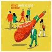 Le texte musical LOS AVIONES de ANDRÉS CALAMARO est également présent dans l'album Jamón del medio (2014)