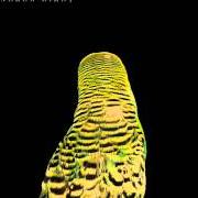 Le texte musical PLASTICITIES de ANDREW BIRD est également présent dans l'album Armchair apocrypha (2007)