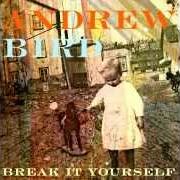 Le texte musical NEAR DEATH EXPERIENCE de ANDREW BIRD est également présent dans l'album Break it yourself (2012)