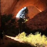 Le texte musical THE CANYON WANTS TO HEAR C SHARP de ANDREW BIRD est également présent dans l'album Echolocations: canyon (2015)