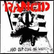 Le texte musical OLD FRIEND de RANCID est également présent dans l'album ...And out come the wolves (1995)