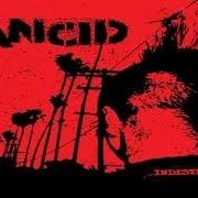 Le texte musical ARRESTED IN SHANGHAI de RANCID est également présent dans l'album Indestructible (2003)