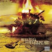 Le texte musical THE JOKE'S ON ME de REEL BIG FISH est également présent dans l'album We're not happy 'til you're not happy (2005)