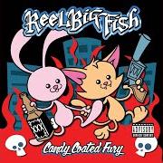 Le texte musical I KNOW YOU TOO WELL TO LIKE YOU ANYMORE de REEL BIG FISH est également présent dans l'album Candy coated fury (2012)