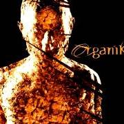 Le texte musical SEPARATION de ROBERT MILES est également présent dans l'album Organik (2001)