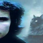Le texte musical CIUDAD de ROBERTO CARLOS est également présent dans l'album Un gato en la oscuridad