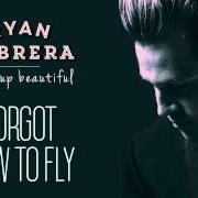 Le texte musical FORGOT HOW TO FLY de RYAN CABRERA est également présent dans l'album Wake up beautiful (2015)