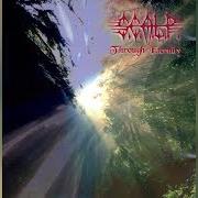Le texte musical THE FATE WILL NEVER REPEAT de S.C.A.L.P. est également présent dans l'album Through eternity (1997)