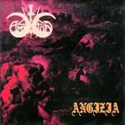 Le texte musical DER STECHLIN de ANGIZIA est également présent dans l'album Split with amestigon (1996)
