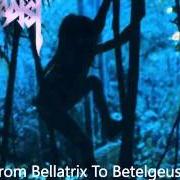 Le texte musical FROM BELLATRIX TO BETELGEUSE de SADIST est également présent dans l'album Tribe (1996)