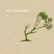 Le texte musical SHROUD de ANI DIFRANCO est également présent dans l'album Reprieve (2006)