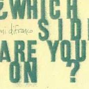 Le texte musical AMENDMENT de ANI DIFRANCO est également présent dans l'album Which side are you on? (2012)