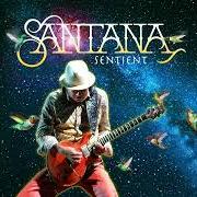 Le texte musical WHATEVER HAPPENS de SANTANA est également présent dans l'album Sentient (2025)