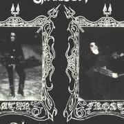 Le texte musical INTO THE MIGHTY FOREST de SATYRICON est également présent dans l'album Dark medieval times (1993)