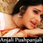 Le texte musical DUSK de ANJALI est également présent dans l'album Anjali (2000)