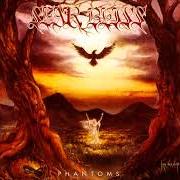 Phantoms