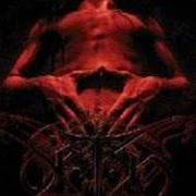 Le texte musical COSMIC CURSED'S SHELTER de SETH est également présent dans l'album Divine x (2002)