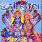 Le texte musical BUILT TO RESIST de SHELTER est également présent dans l'album Eternal (2005)