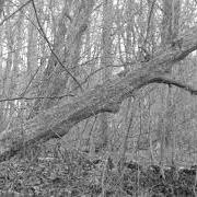 Livets ändhallplats