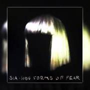 Le texte musical HOSTAGE de SIA est également présent dans l'album Hostage (2012)