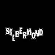 Le texte musical SYMPHONIE - (ON STAGE) de SILBERMOND est également présent dans l'album Verschwende deine zeit (2004)
